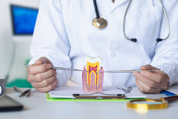 Best Emergency Pediatric Dental Care in Stockton, IL